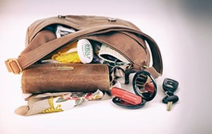 The Prepped-Out Purse