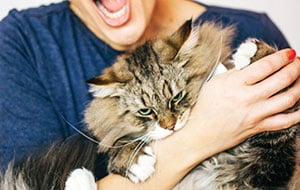 Dr. Joe Alton’s Expert Advice for Treating Animal Bites