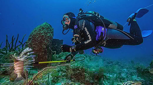 5 Great American Snorkeling Spots