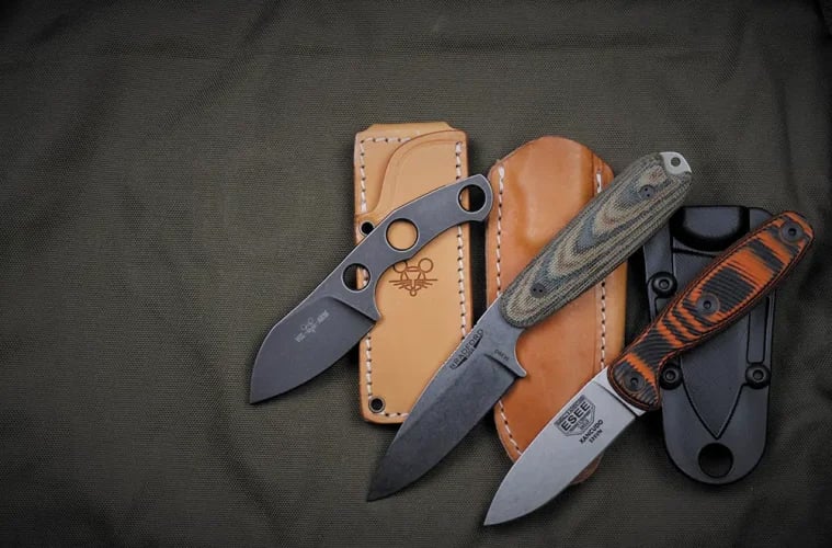Carry Friendly  