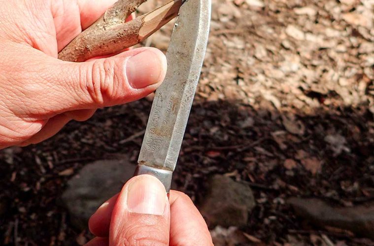 Bushcraft Basics with Reuben Bolieu