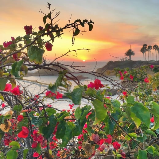 Laguna Beach CA