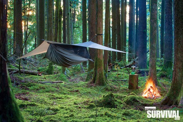 How To Suspend Your Camp above the Critters