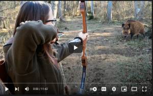 How To Become Proficient at Archery