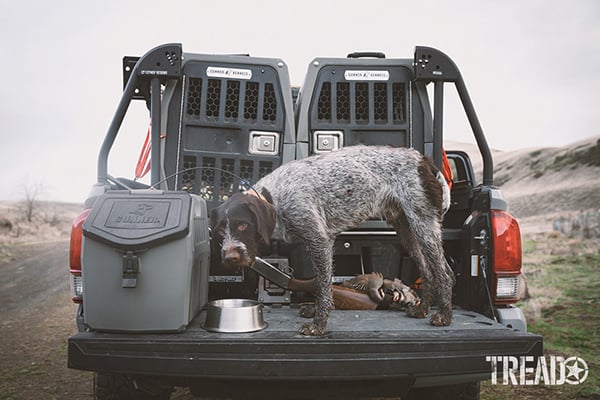 How To Road Trip with Dogs …