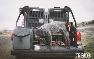 Tread-Dogs-Camping-8