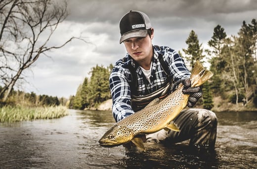 Catching the Elusive Brown Trout