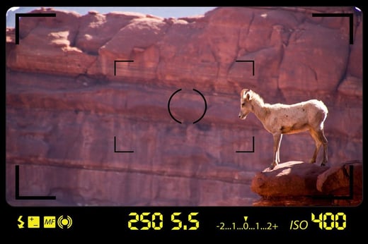 Tread_CCollard_Frame-It-001