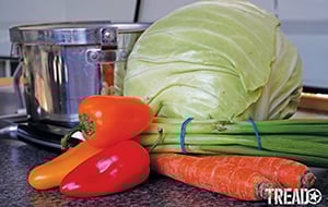 Tread_Provisions_JonathanHanson