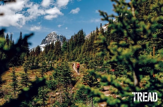 A Beginner's Guide to Foraging