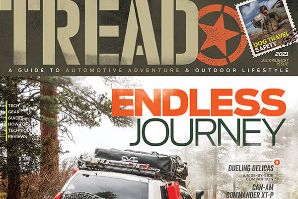 New Issue is Out - Endless Journey 