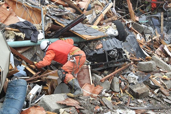 Earthquake Survival: Shaken, Not Stirred