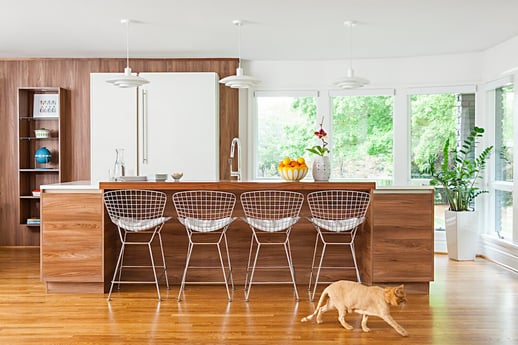 Balancing Preservation and Renovation