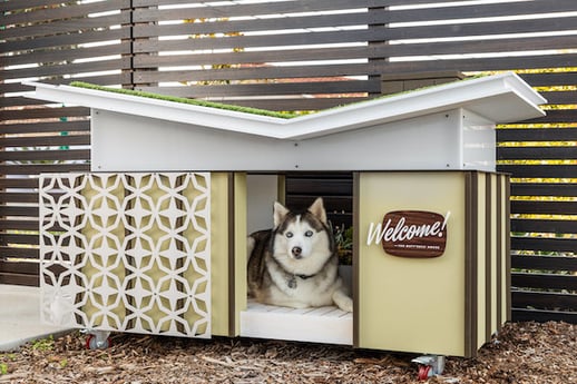 A Ranch Fit for Man's Best Friend