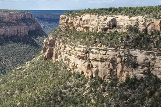 Mesa Verde: A Park Preserving Cultural Treasure 