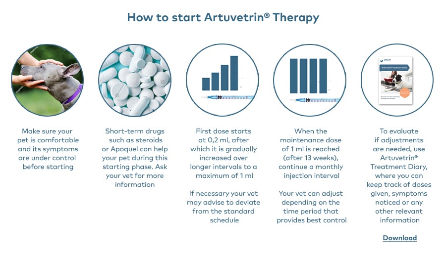 How-to-start-artuvetrin-therapy