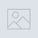 LTL_Tracking_Icon
