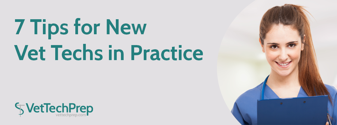 7-Tips-for-New-Vet-Techs-in-Practice