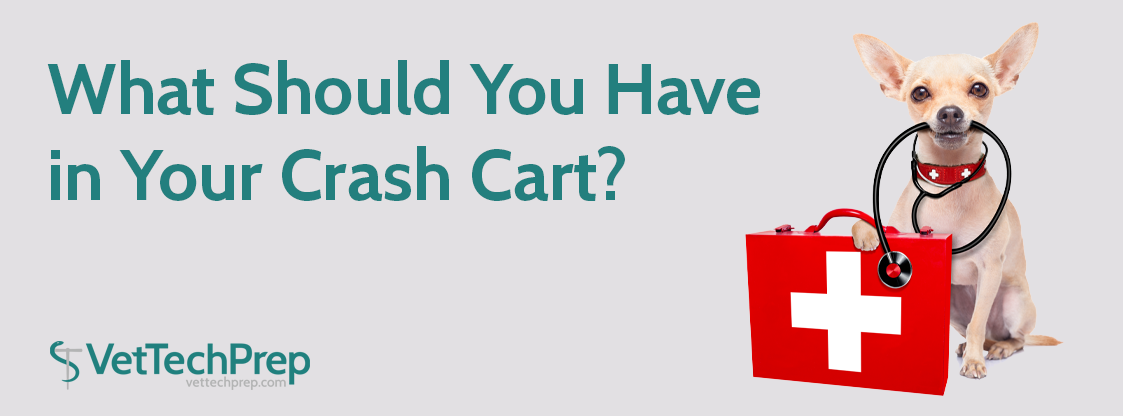 What-Should-You-Have-in-Your-Crash-Cart-HEAD