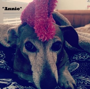 annie-818582-edited