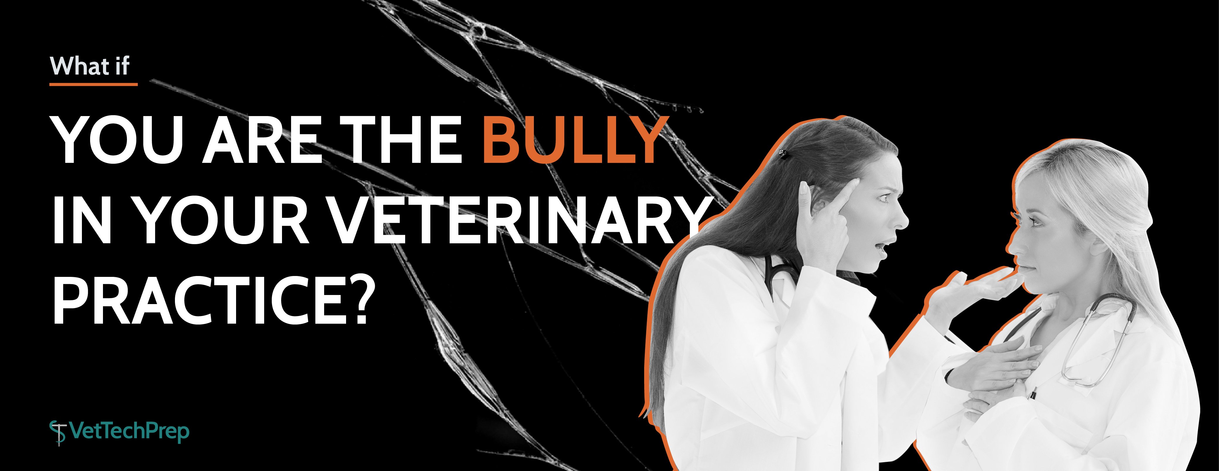 bully-06