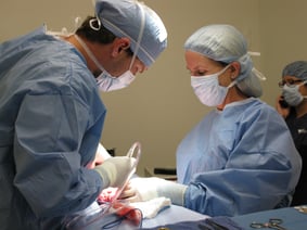 SurgeryVetTech