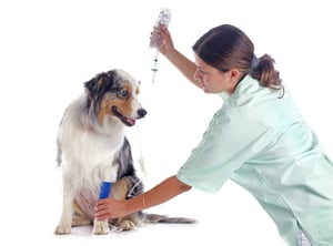 shutterstock_156760976