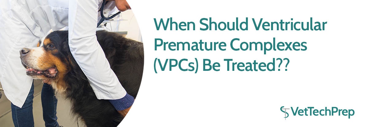 vpc