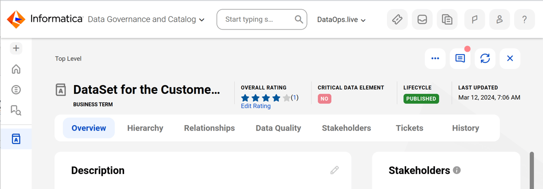 Informatica Cloud Data Governance and Catalog dataset