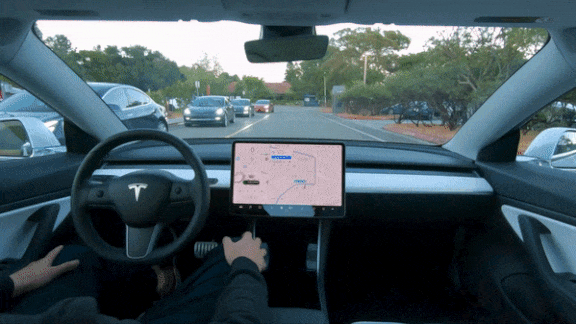 Person driving a Tesla car
