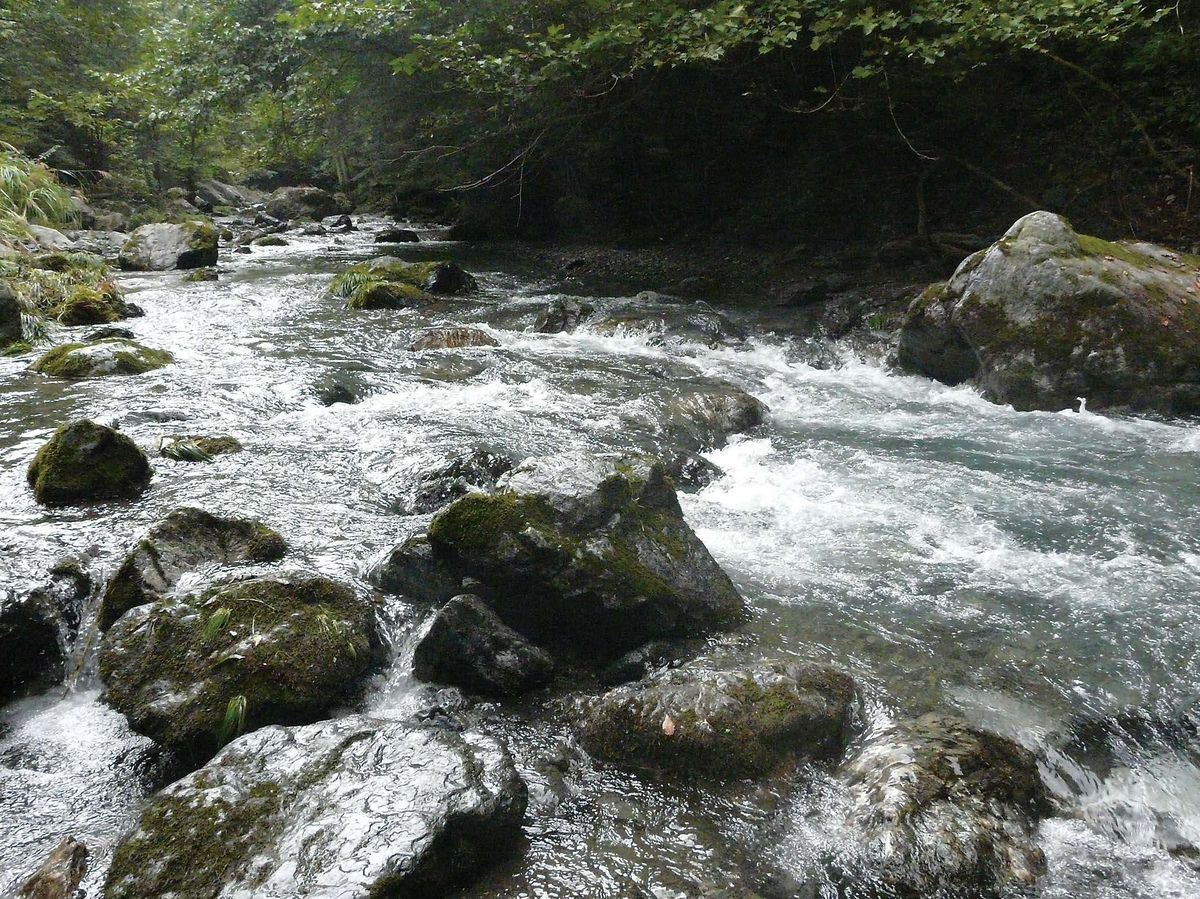 イワナ ヤマメ釣り 埼玉県 荒川水系 全国おすすめ釣り場