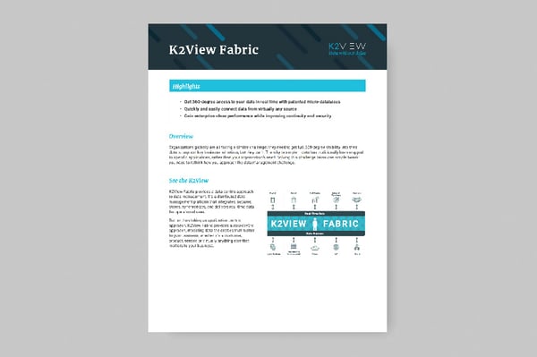 K2View Data Fabric