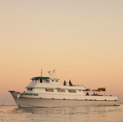 charging-cell-phone-may-have-caused-the-deadly-conception-boat-fire