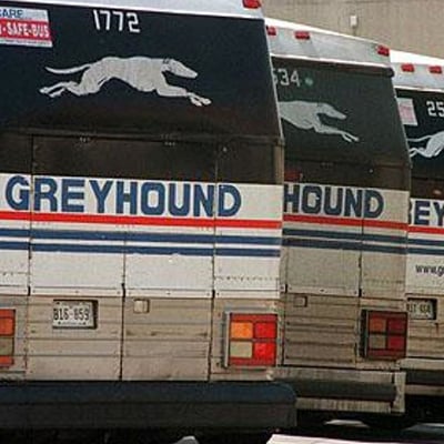 greyhound-bus-accident-settles
