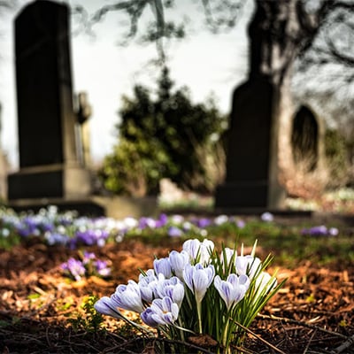 time-limit-filing-wrongful-death-claims