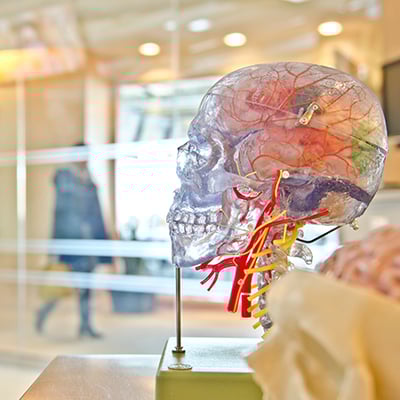 truck-accident-brain-stem-head-injury