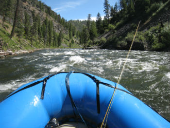 Business Lessons From The River