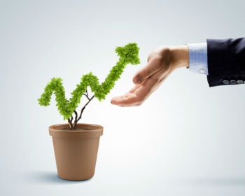 Need Help Growing My Small Business