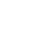icon_investor-1
