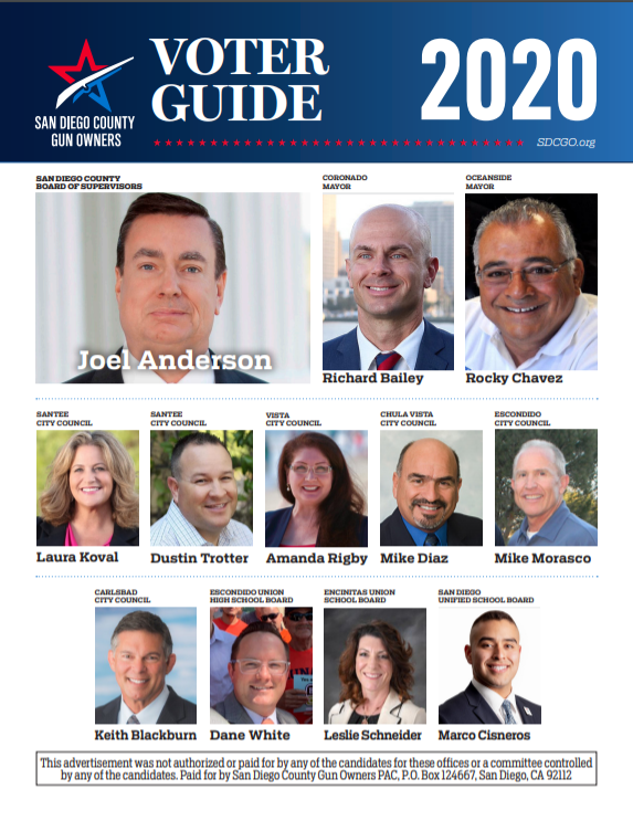 2020 voter guide-1