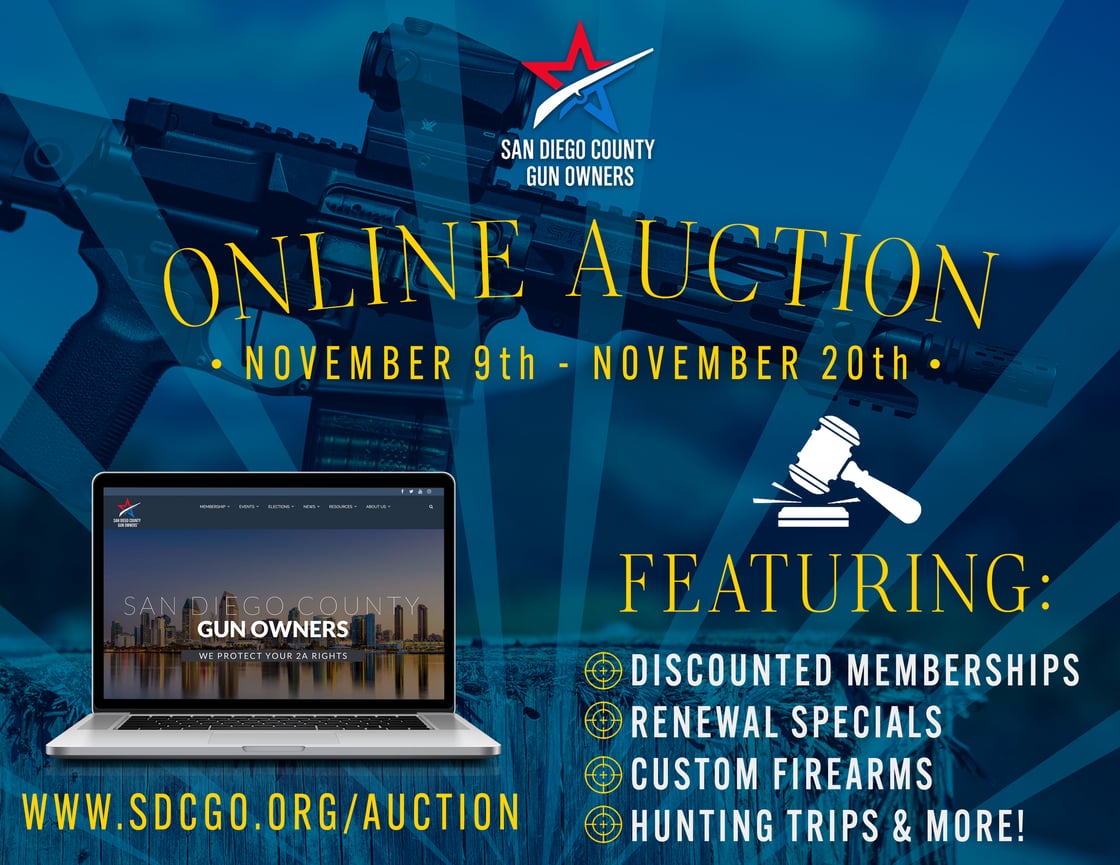 Online Auction.2-1
