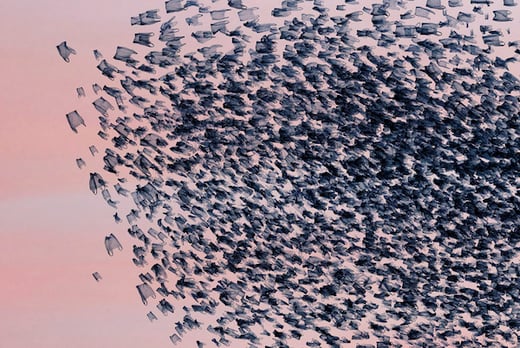 delorme_plastique_sac