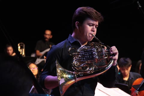 Music scholarships for Horn player Max