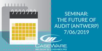 Nieuwsitem-audit-seminarie-BE6