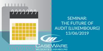 Nieuwsitem-audit-seminarie-LUX6