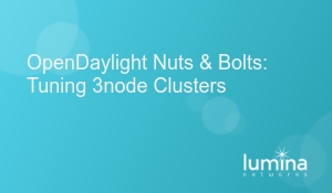 OpenDaylight Nuts & Bolts: Tuning 3node Clusters