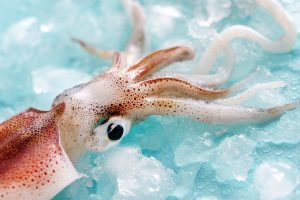 Chill Out: The Right Way to Thaw Calamari