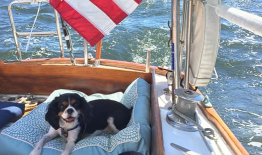 5 Tips for Boating with Your Dog-1-1