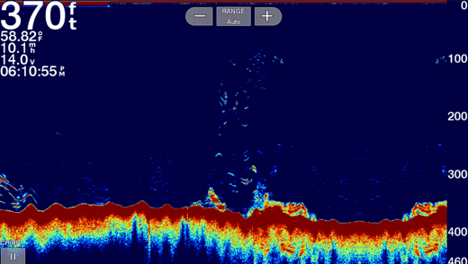 Basics of Setting Up Your Sonar Screen