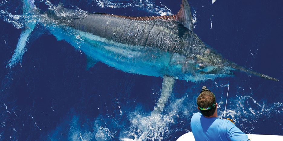 Fexas’ Inverse Theory of Offshore Fishing